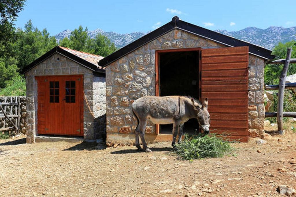 דירות סלינה Stone House Magarac מראה חיצוני תמונה